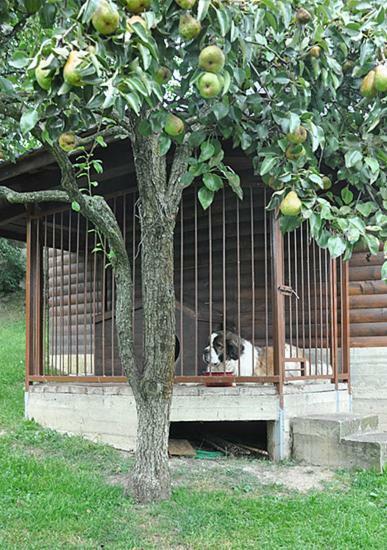 Садиба У Крайлюків Yaremche Exterior foto